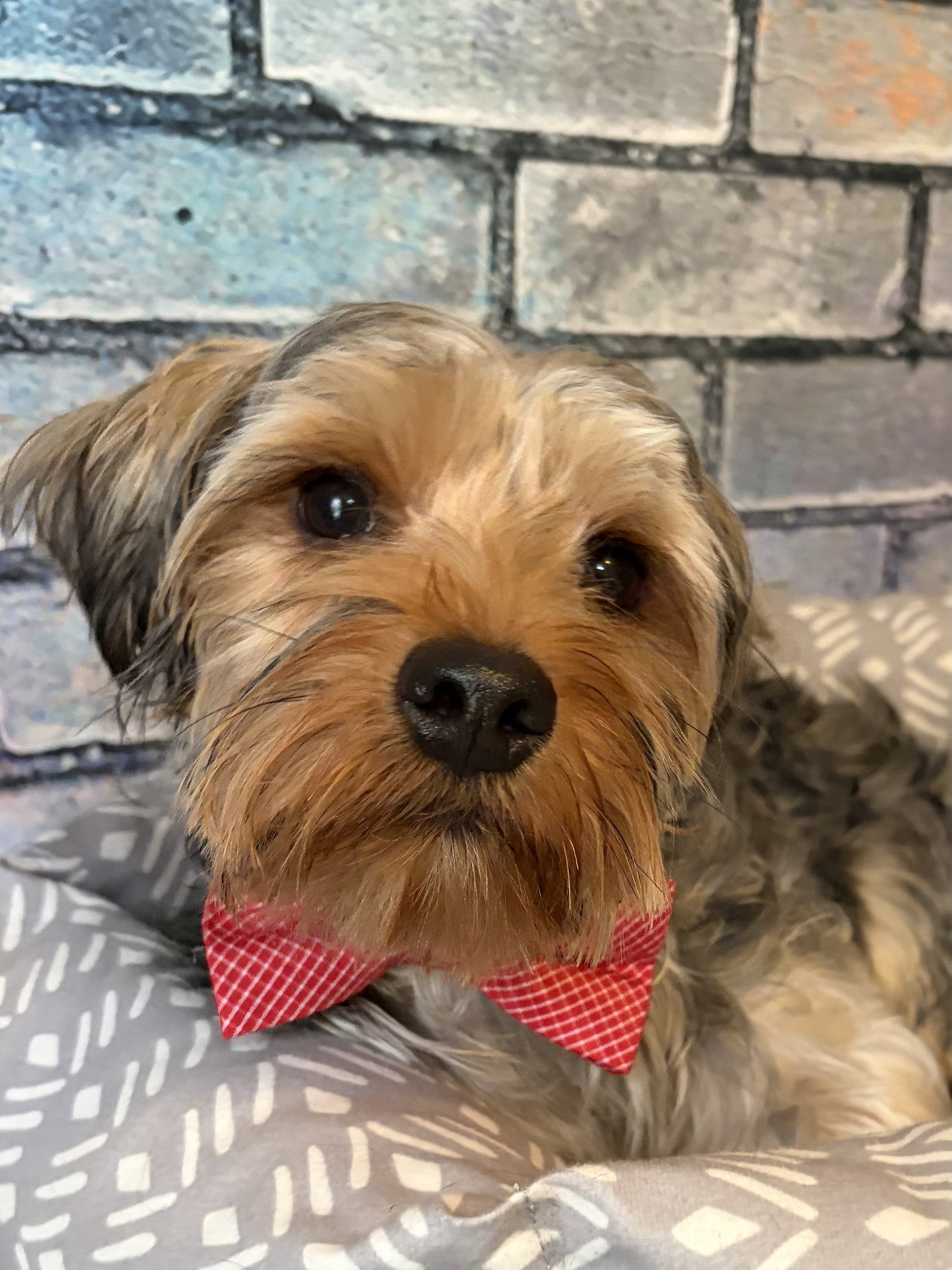 Winston
