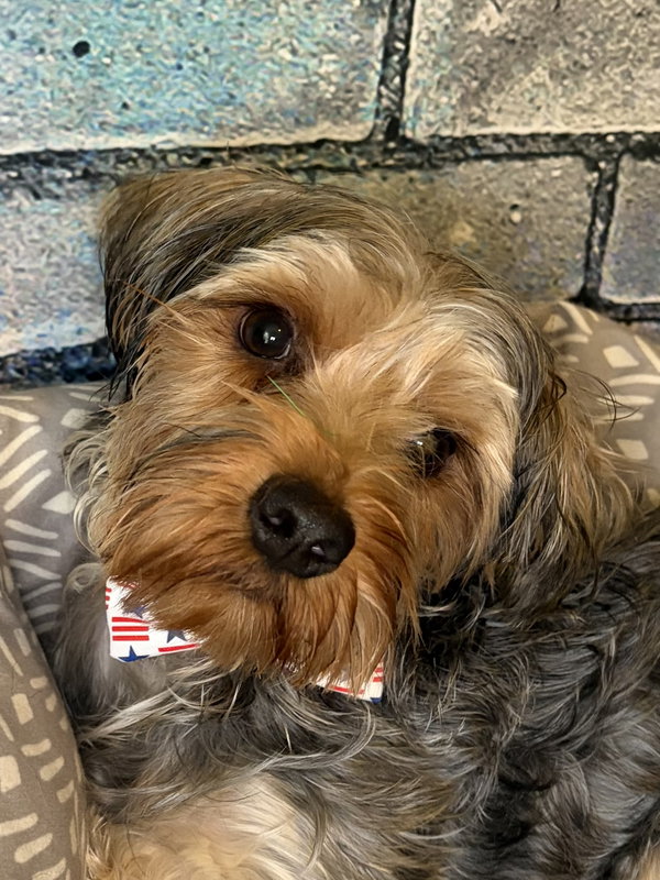 Winston