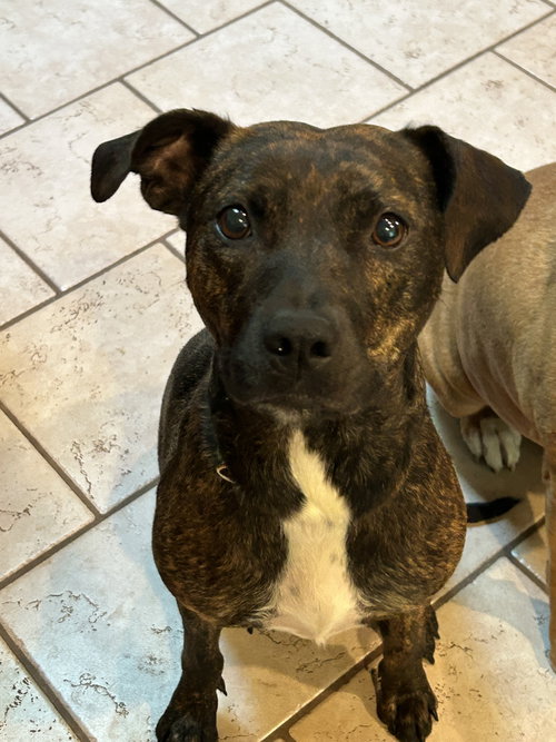Brinley aka Benny