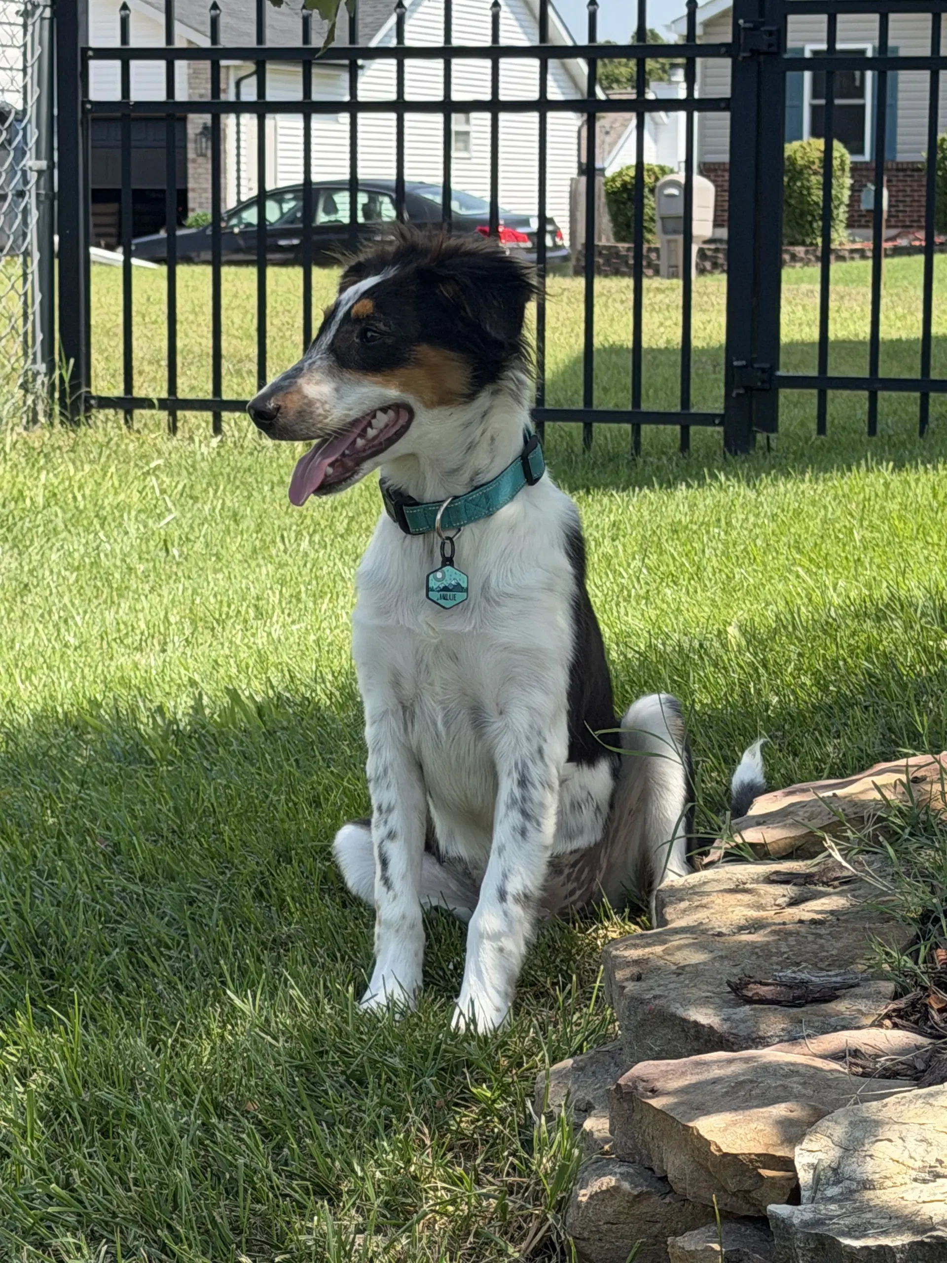 Millie image 3