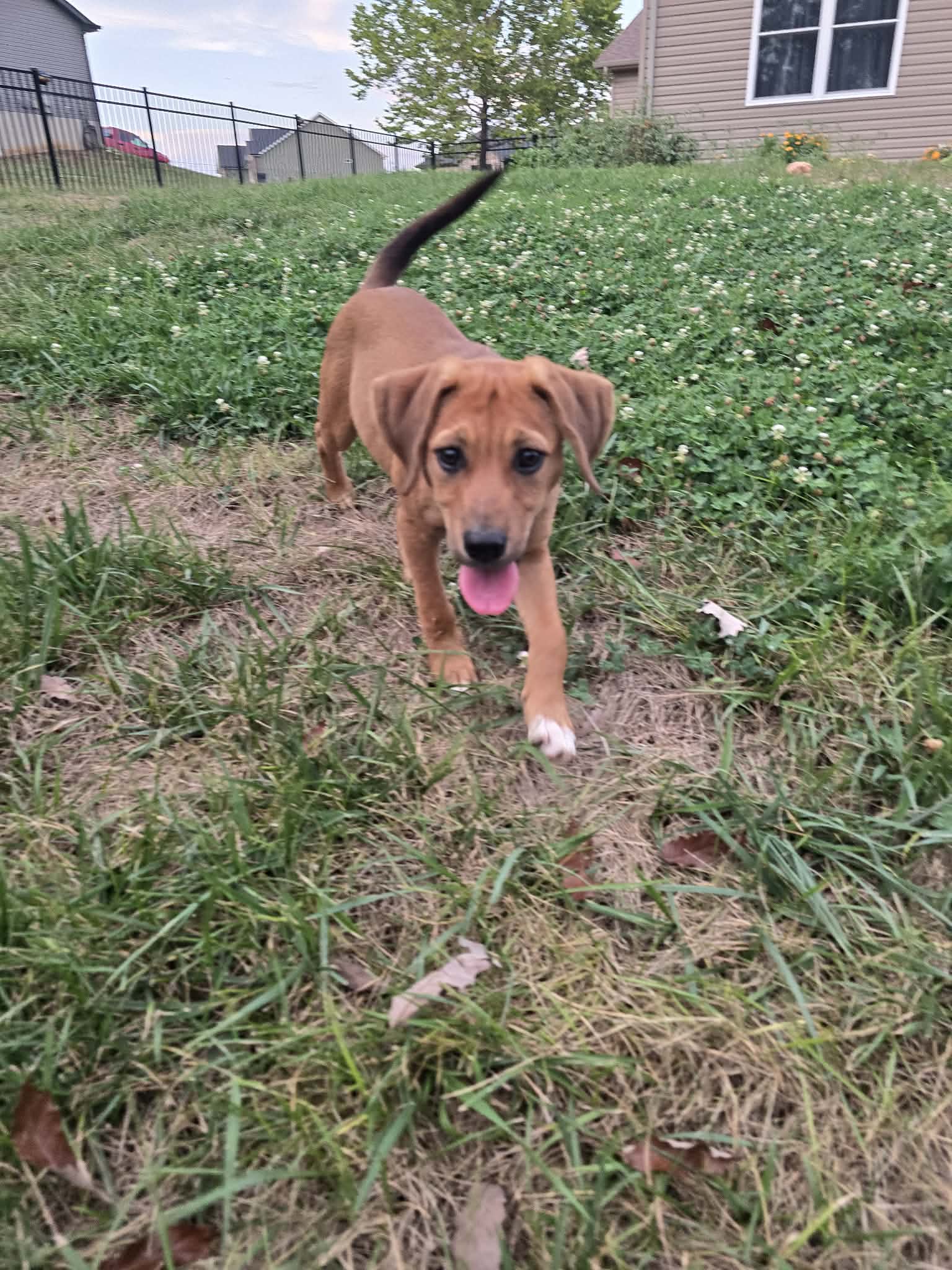 Winnie image 2