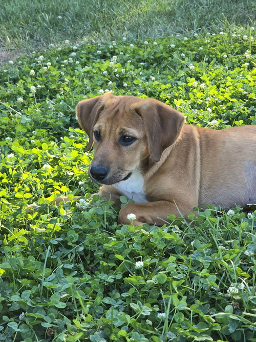 Photo 3 of Winnie