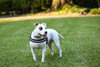 June Bug - Photo 5
