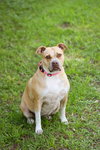 Gracie Jacks - Photo 2