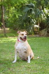 Gracie Jacks - Photo 4