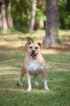 Gracie Jacks - Photo 6