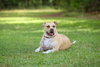 Gracie Jacks - Photo 7