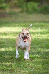 Gracie Jacks - Photo 5