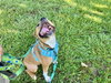 Tucker - Photo 3