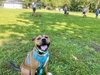 Tucker - Photo 4