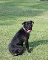 Plato - Photo 5