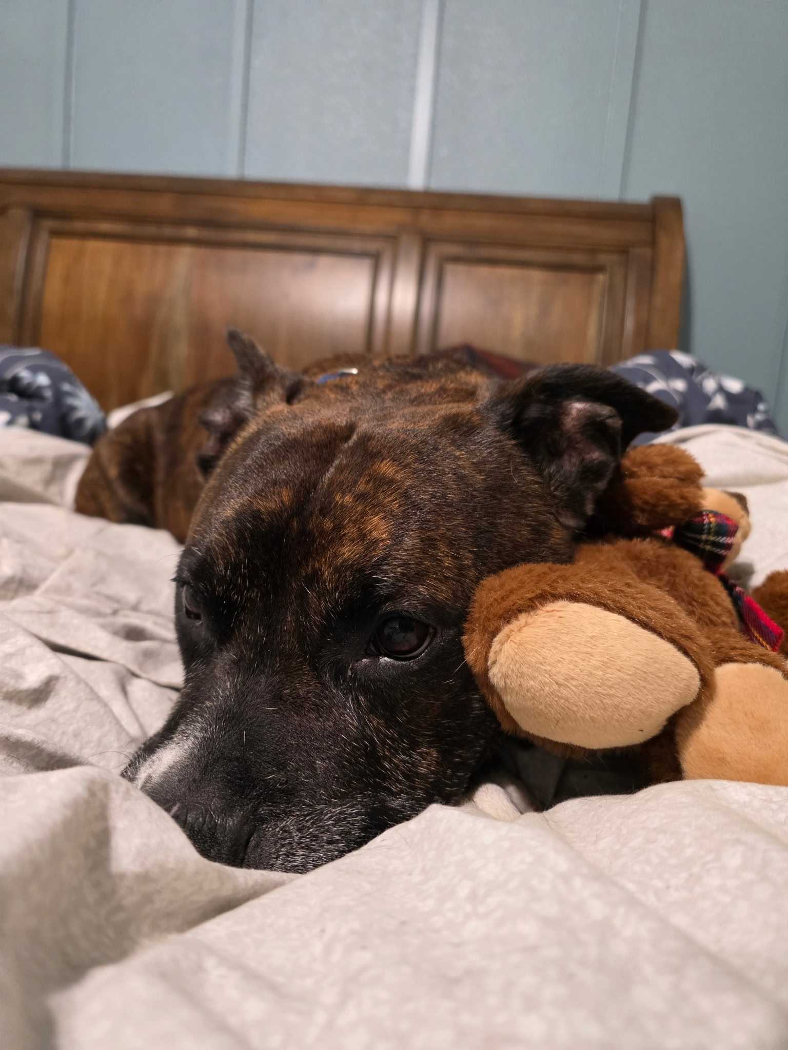 Mr. Walter Image