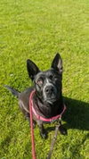 Charlotte Webb - Photo 2
