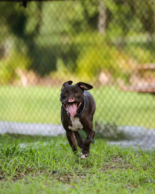 Binks photo 6