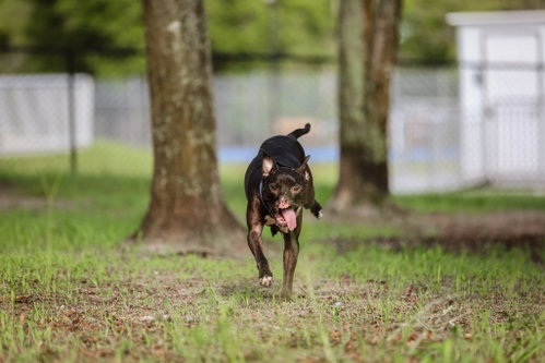 Binks photo 7