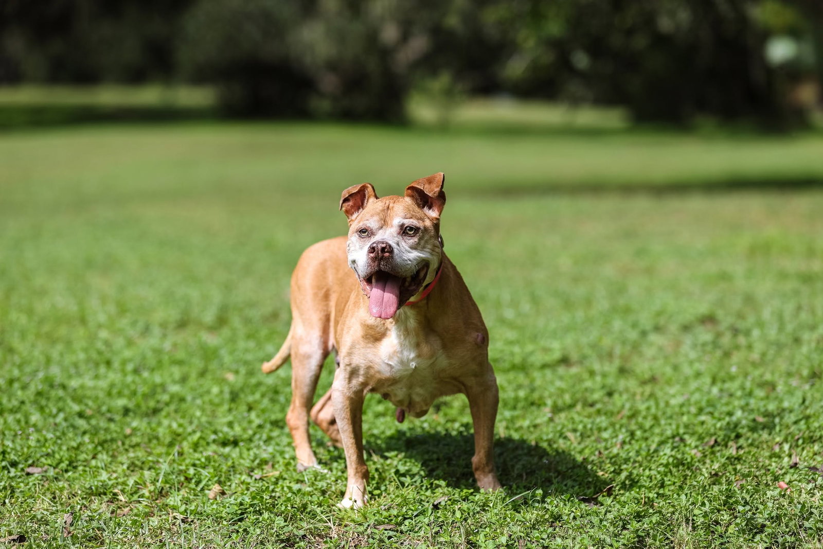 Maggie May, photo 4