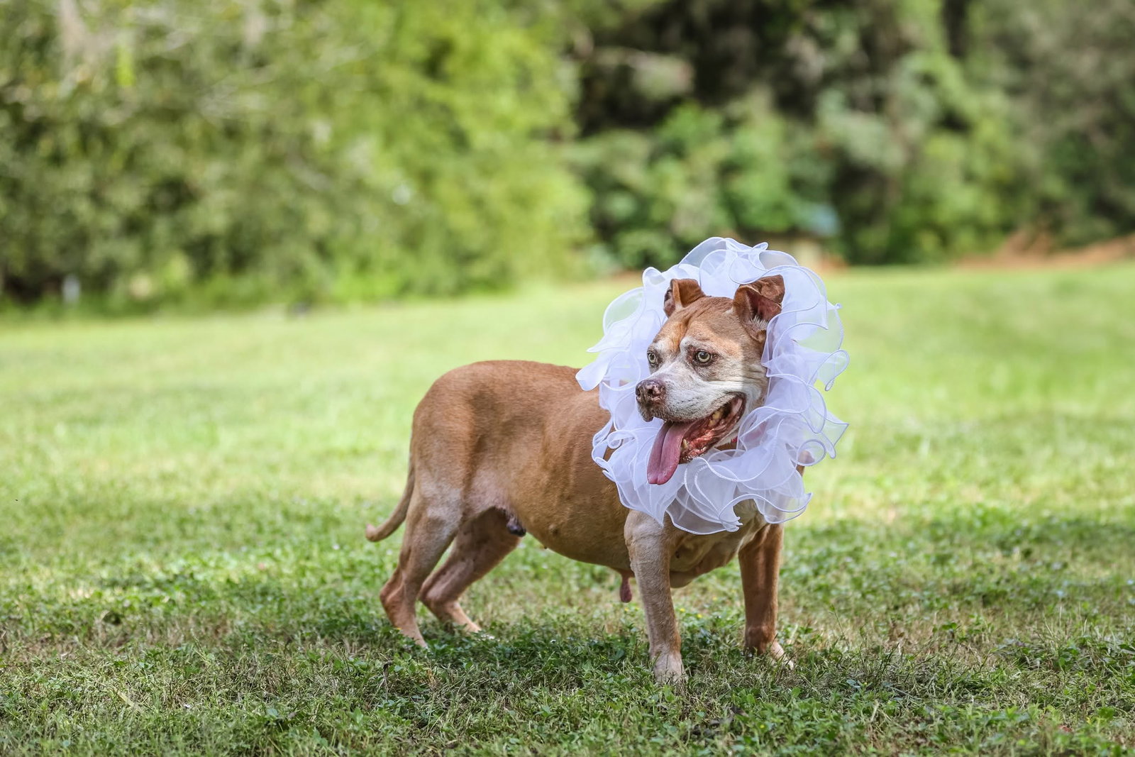 Maggie May, photo 9