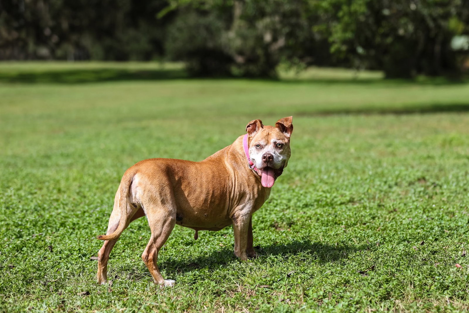 Maggie May, photo 10