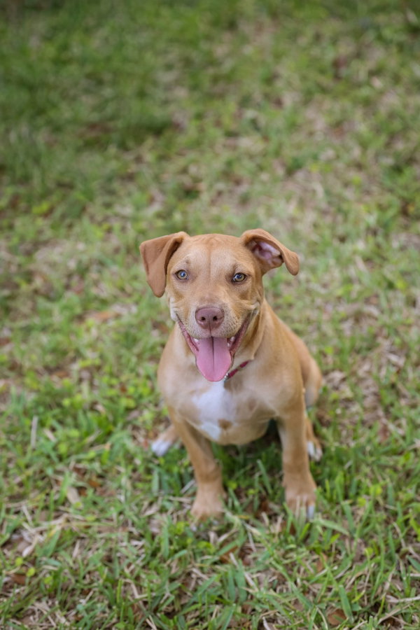 Wilbur