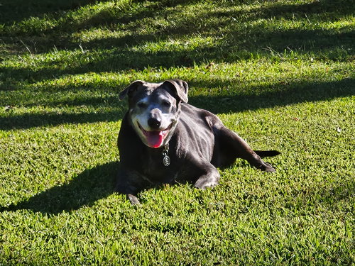 Gunnie - Photo 2