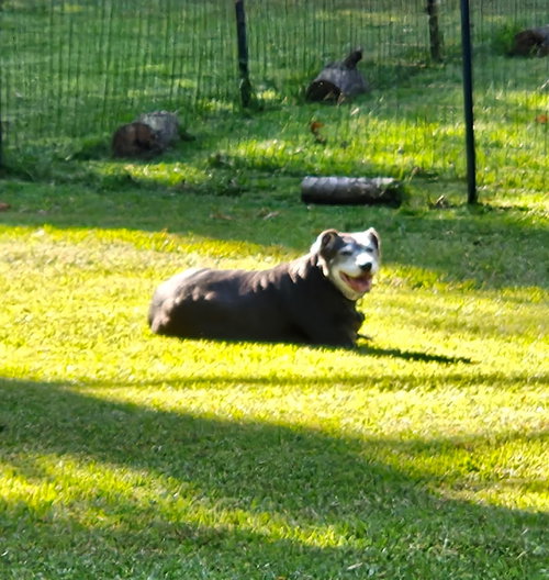 Gunnie - Photo 3