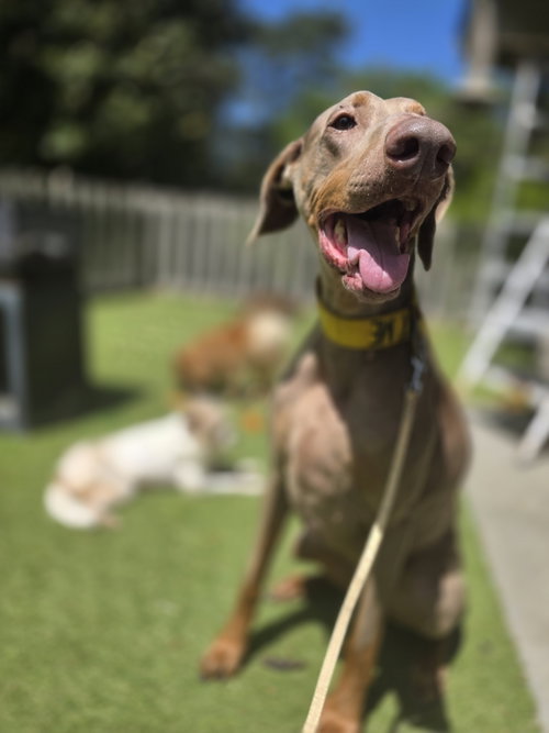 Marley Mae photo 4