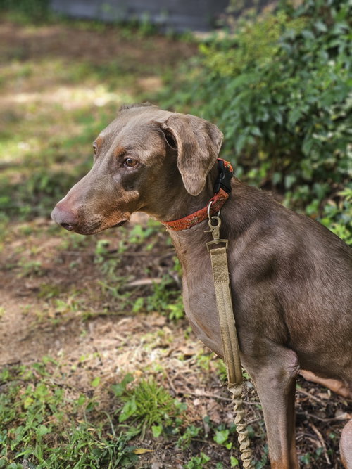 Marley Mae photo 6