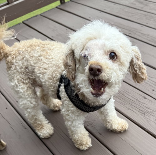 Murray Mills photo 3
