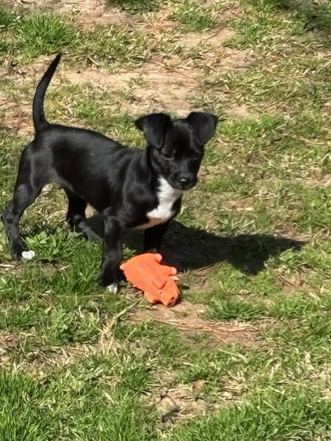Bex, photo 3