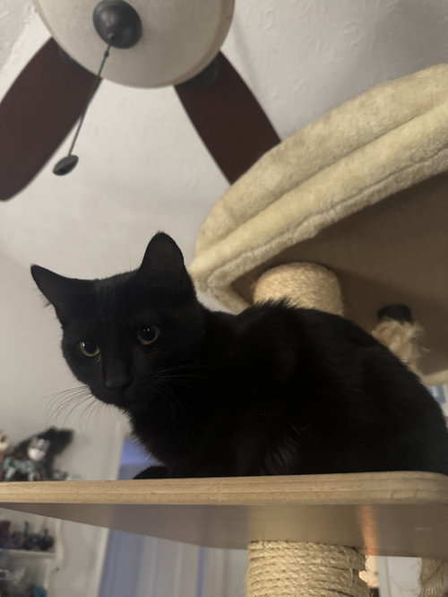 Photo 2 of Princess Donut