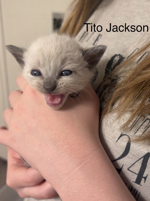 Tito Jackson