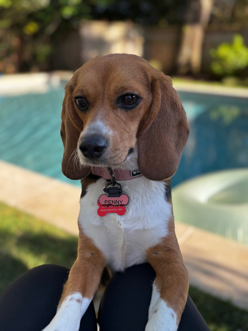 Penny Lou