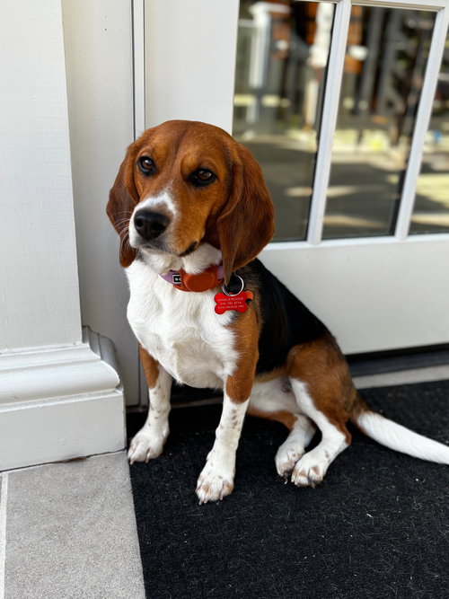 Maggie Lou