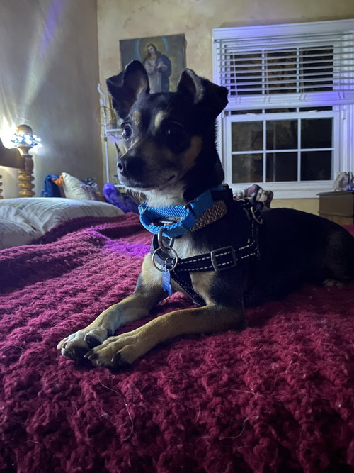 Lena Lou photo 2