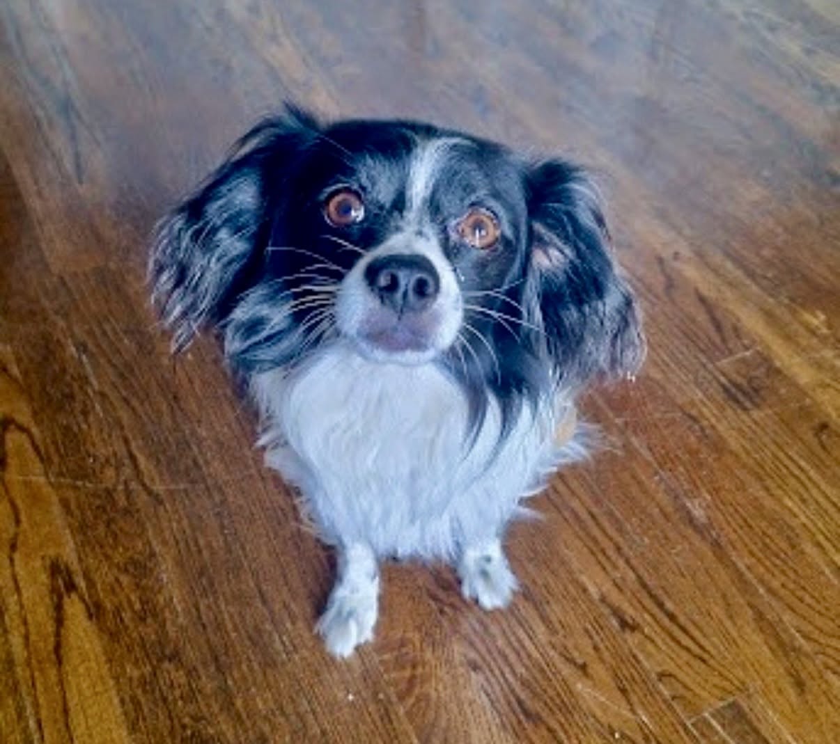 Sasha Sam, photo 4