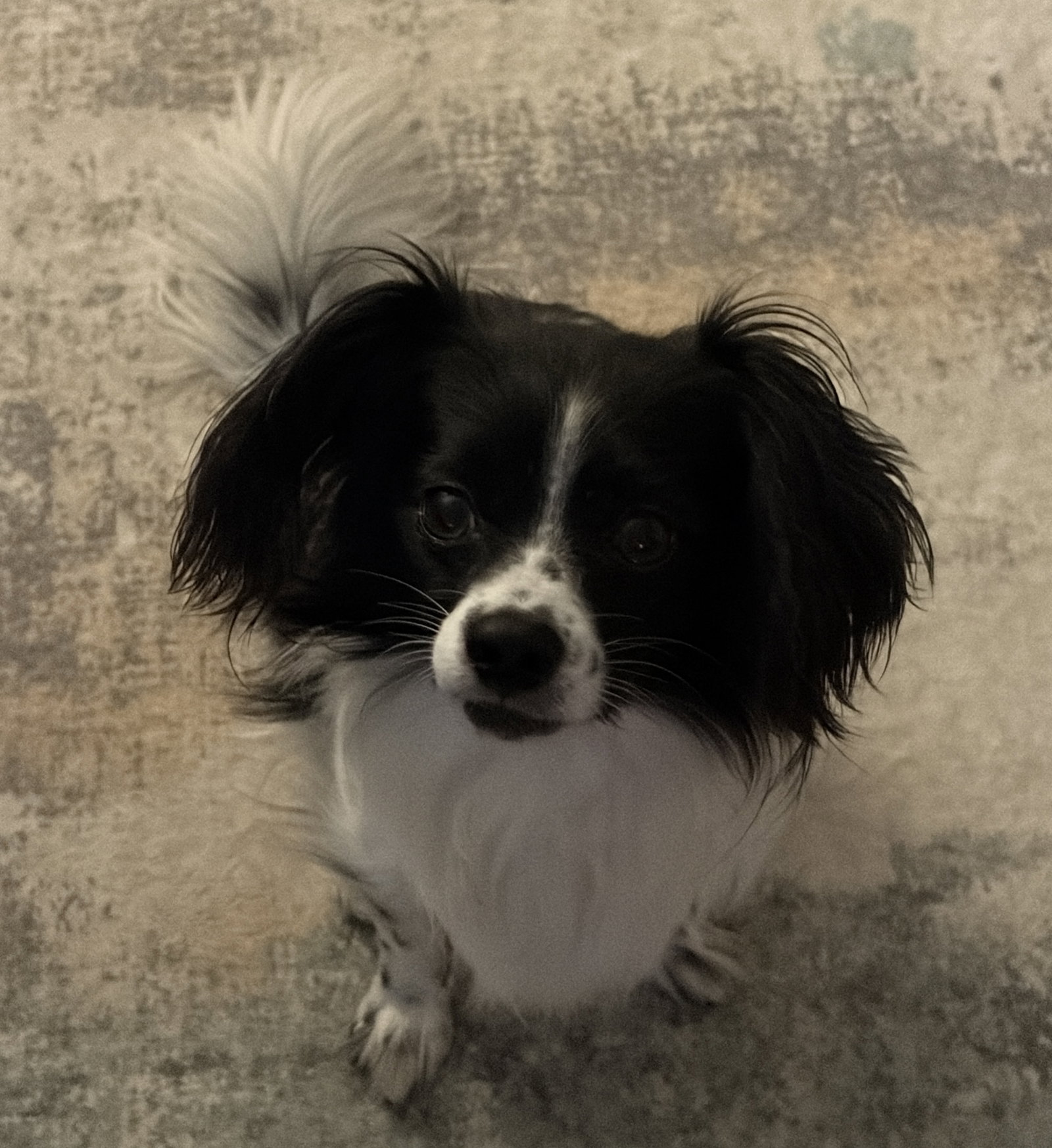 Sasha Sam, photo 2