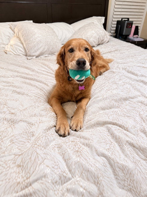 Photo 2 of Roxy Hart