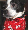 22773 - Charlie