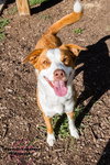 22953 - April