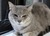 26923 - Rocky