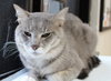 26923 - Rocky