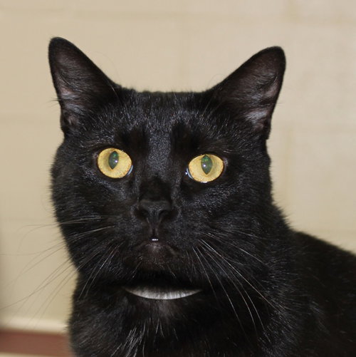 27134 - Salem