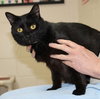 27134 - Salem