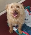 27157 - Mack