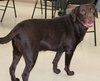 27193 - Buddy