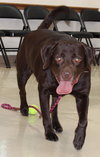27193 - Buddy