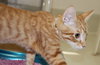 27779 - Dewey