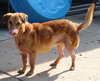 27735 - Pinky