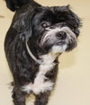 27880 - Romeo