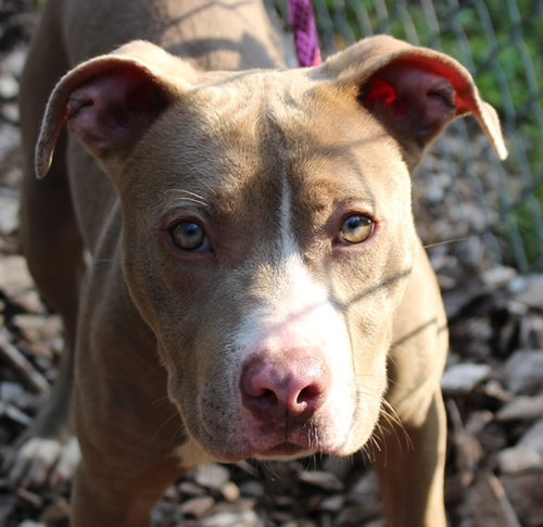 27983 - Milly